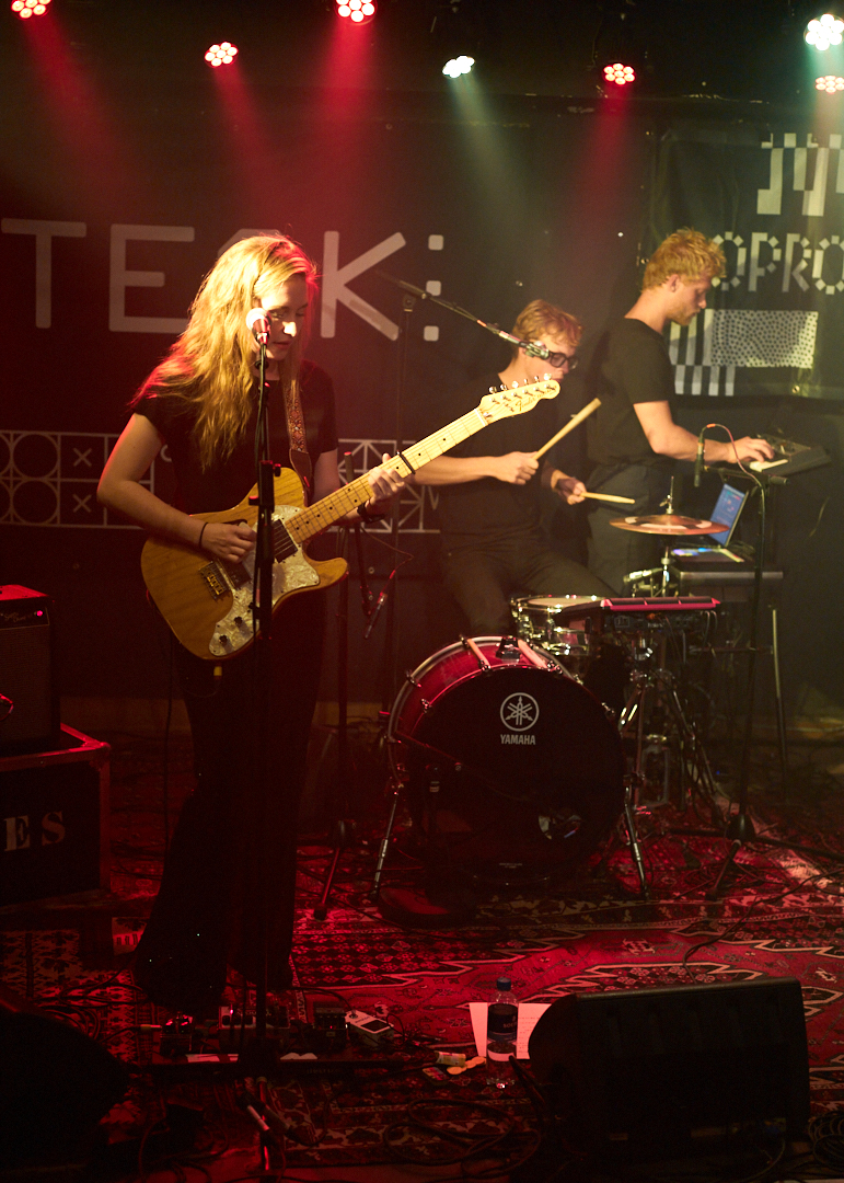 Wies Popradar Steck Delft11
